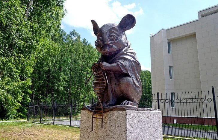 памятник лабораторной мыши