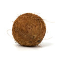 Кокос: описание ореха, как правильно выбрать плод. Как есть кокос в домашних условиях.