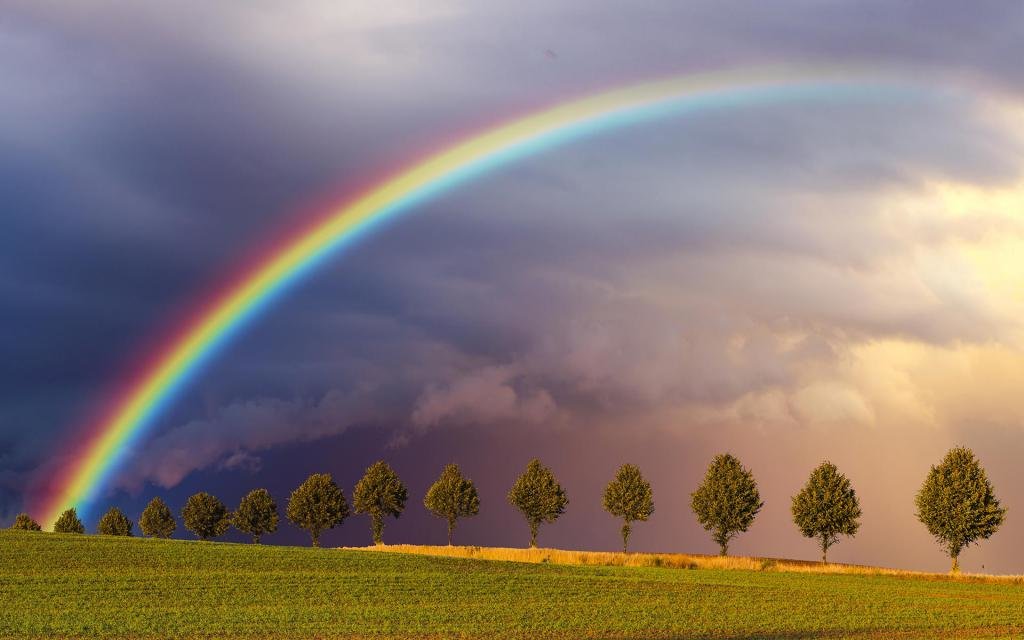 Прекрасное явление, связанное с дождем, - радуга