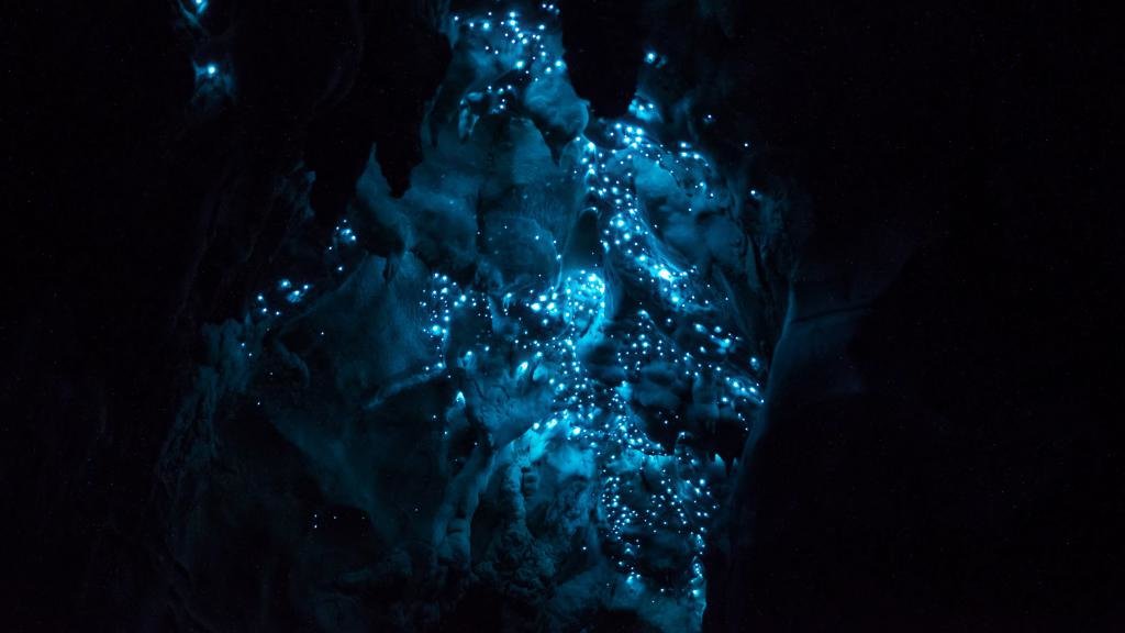 Пещера светлячков